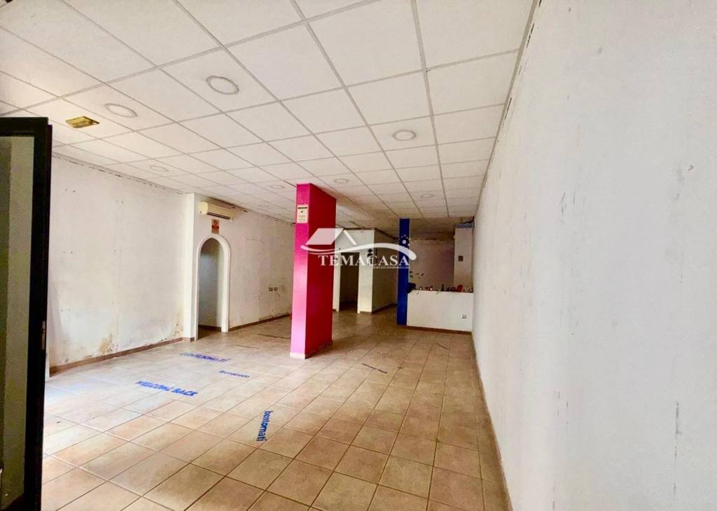 immagine annuncio 3 di 14