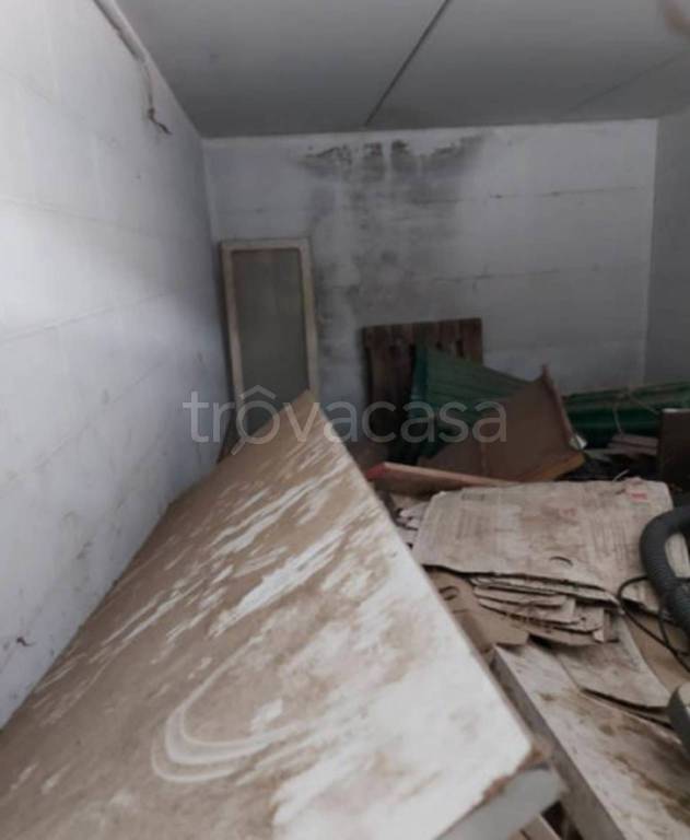 immagine annuncio 12 di 14