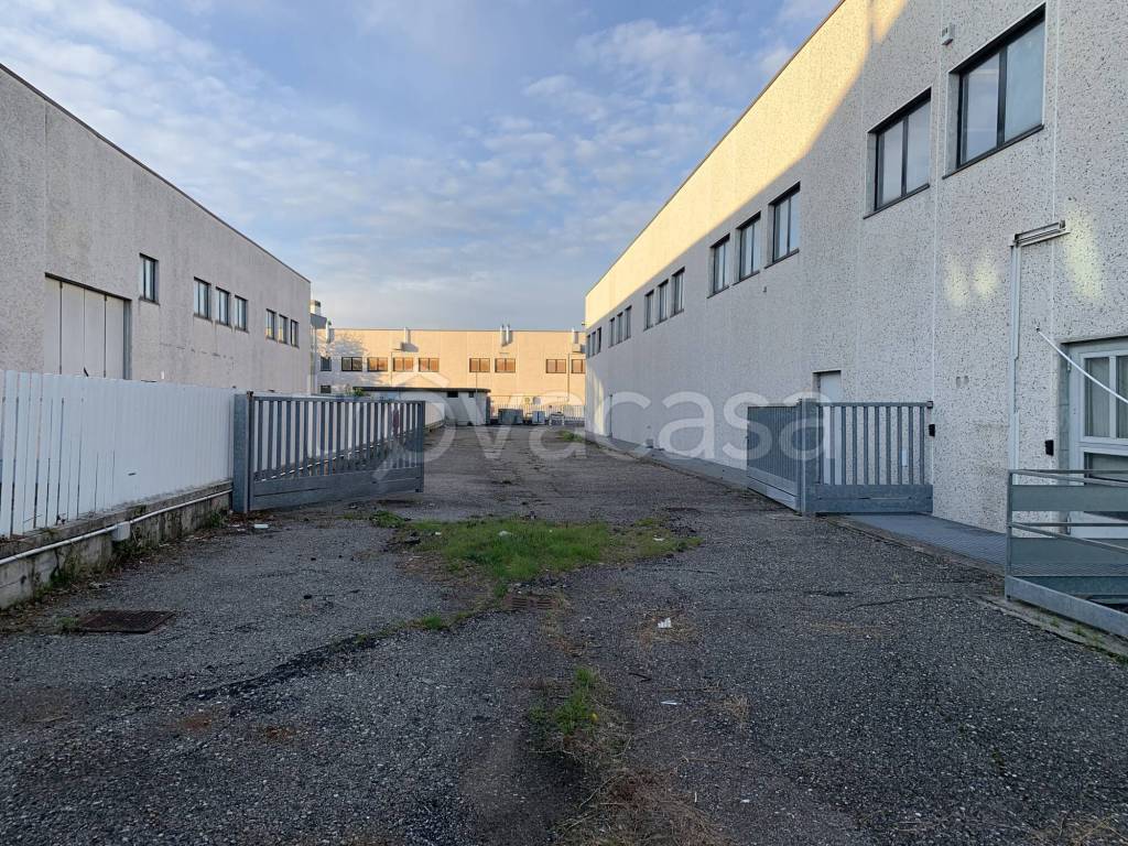 immagine annuncio 4 di 15