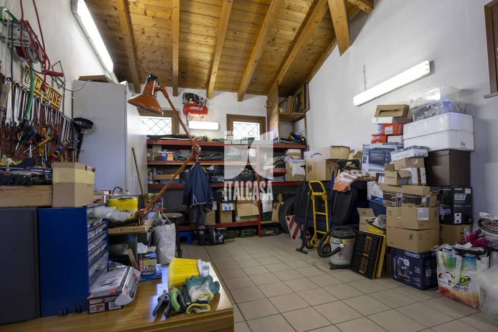 immagine annuncio 12 di 15