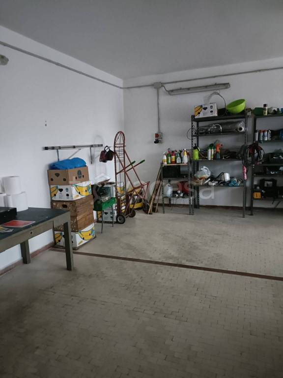 immagine annuncio 2 di 13