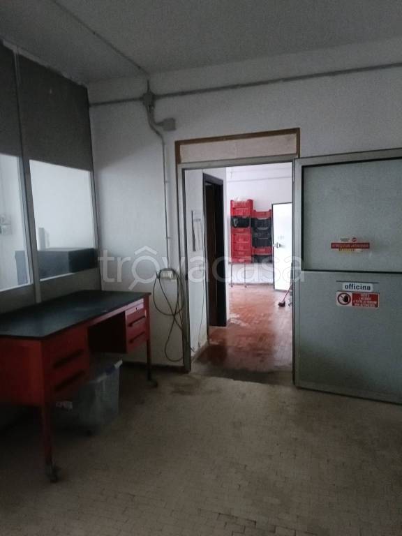 immagine annuncio 3 di 13