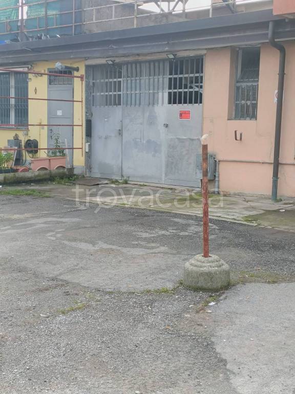 immagine annuncio 11 di 13