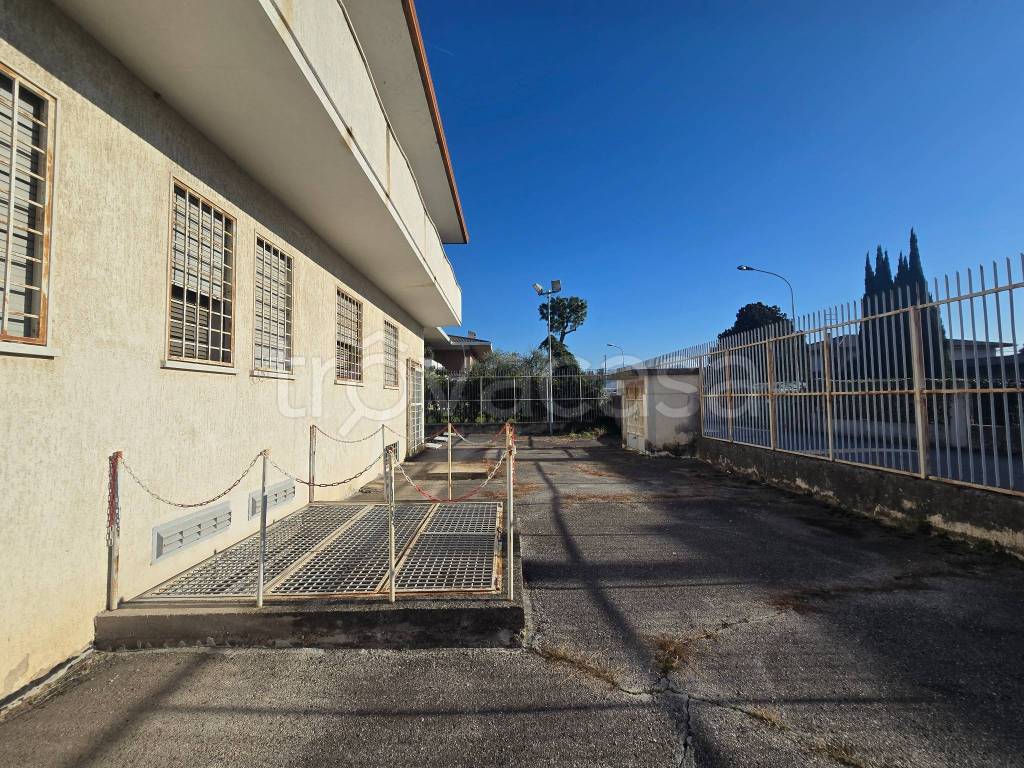 immagine annuncio 2 di 12