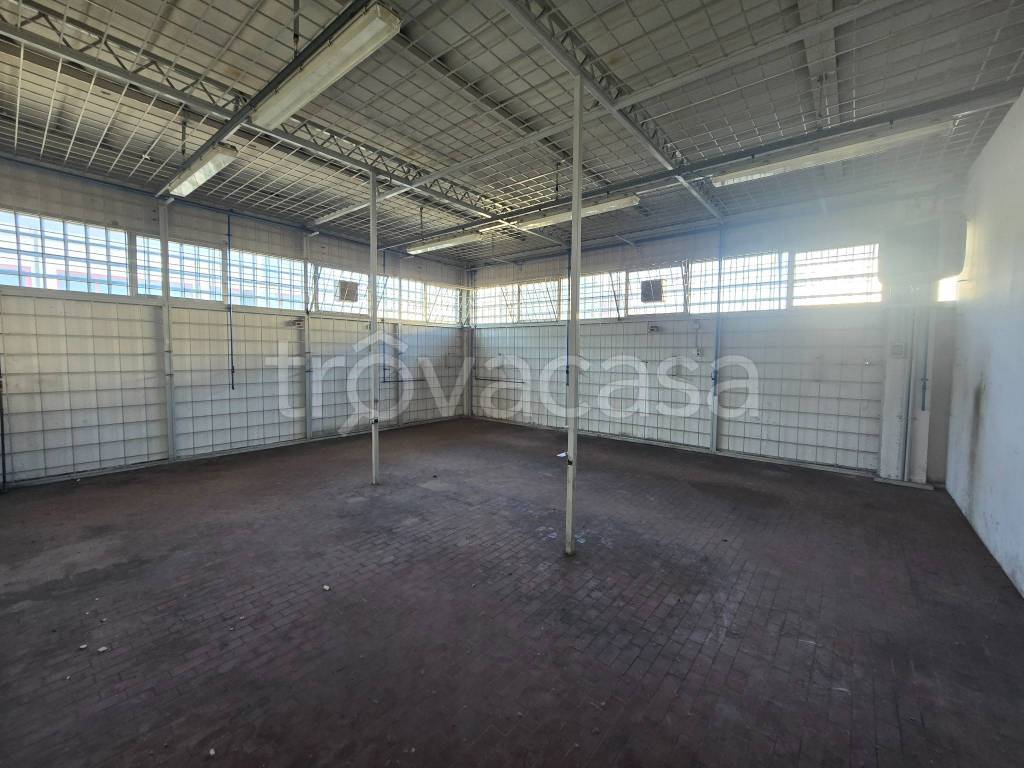 immagine annuncio 6 di 12