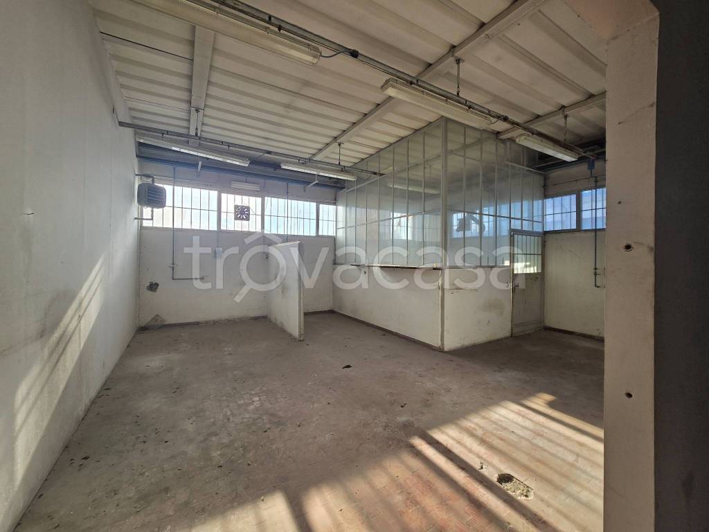 immagine annuncio 7 di 12