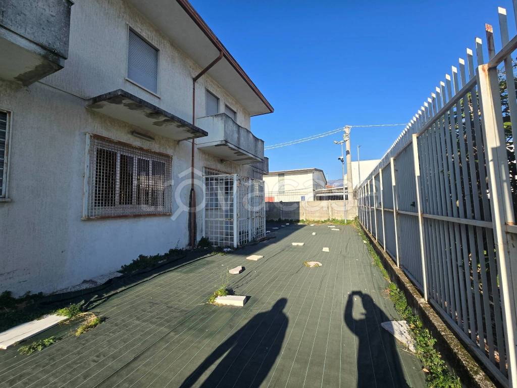 immagine annuncio 4 di 12