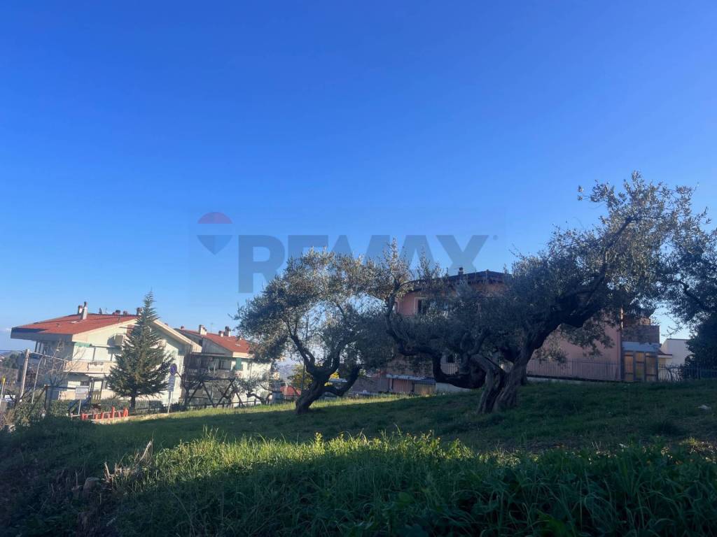 immagine annuncio 5 di 12