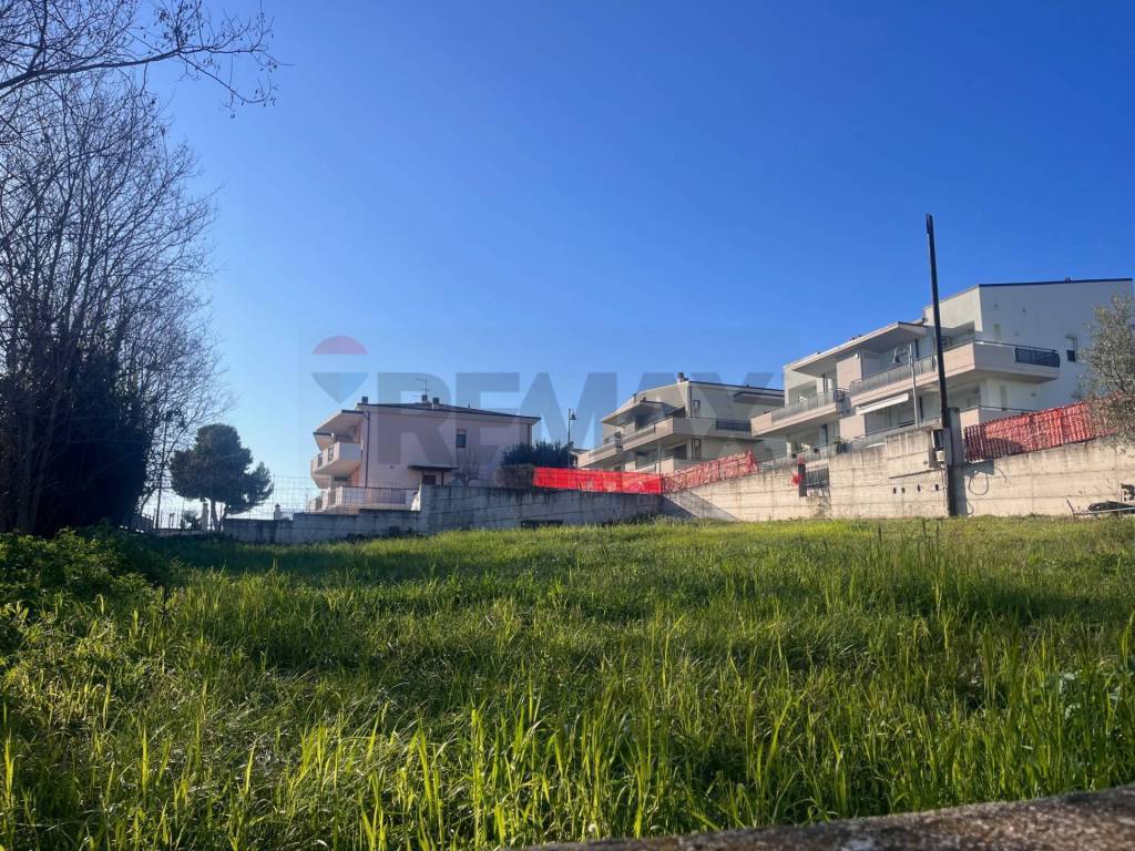 immagine annuncio 11 di 12