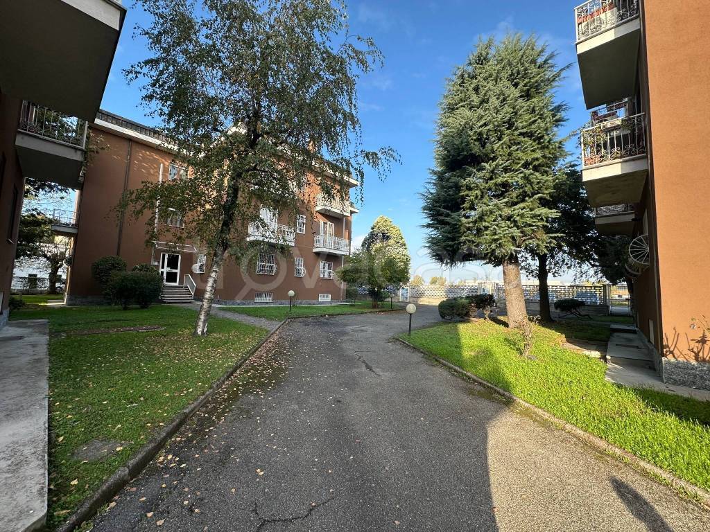 immagine annuncio 14 di 15