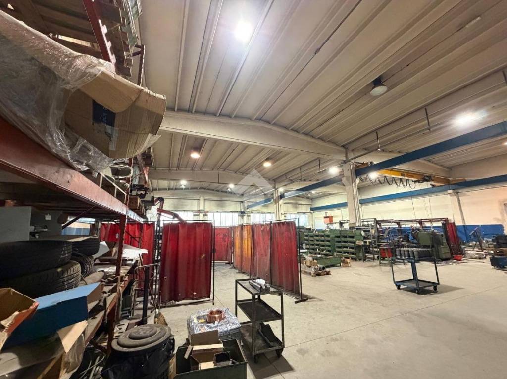 immagine annuncio 2 di 15