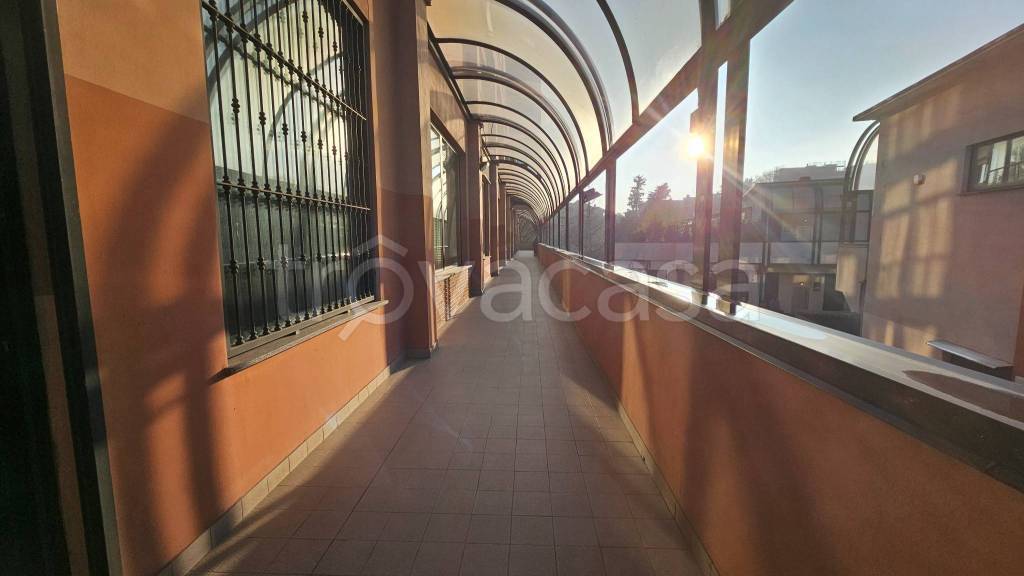 immagine annuncio 3 di 8