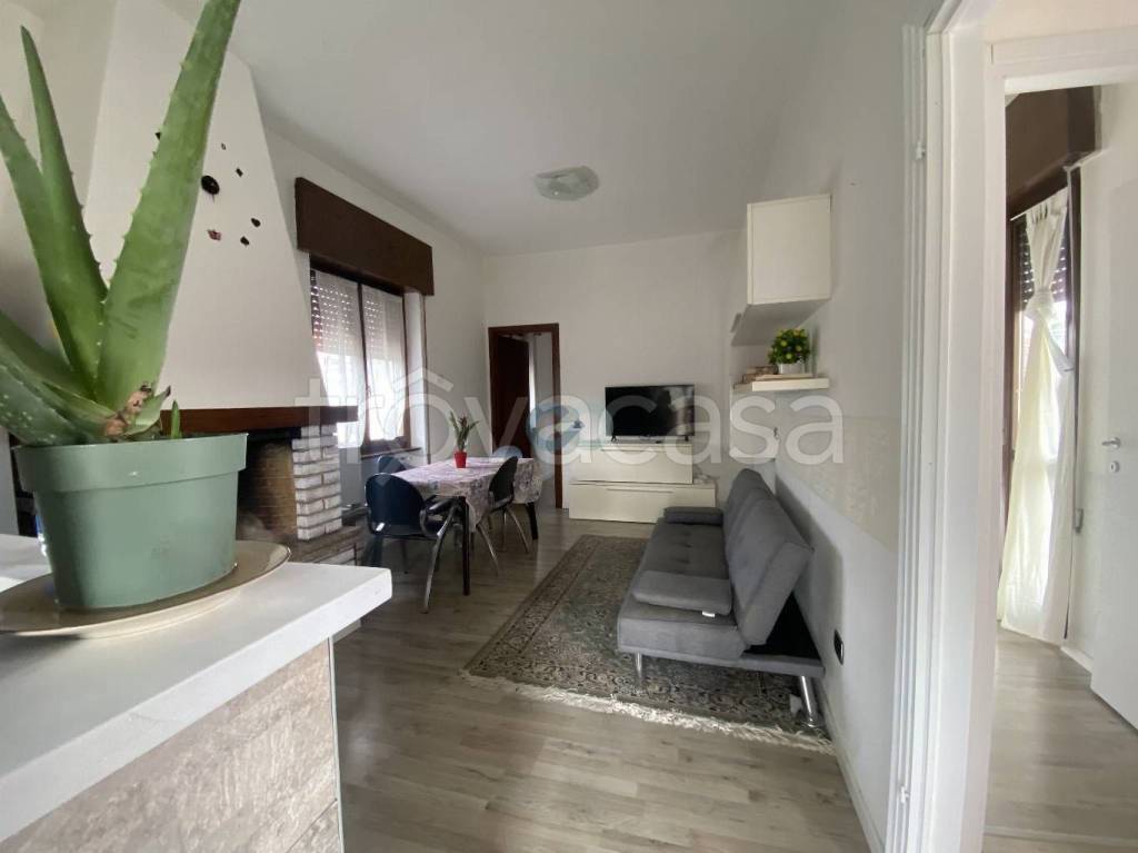 immagine annuncio 4 di 14