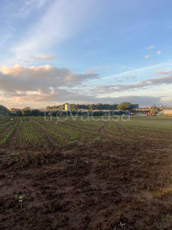 immagine annuncio 4 di 6