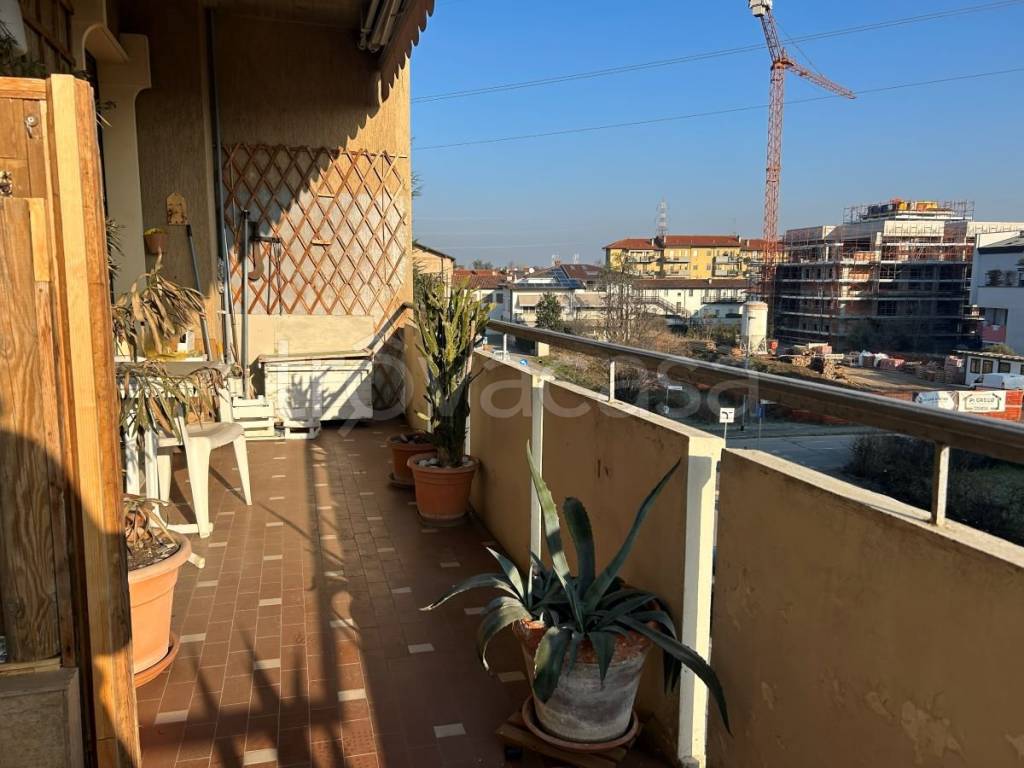 immagine annuncio 6 di 15