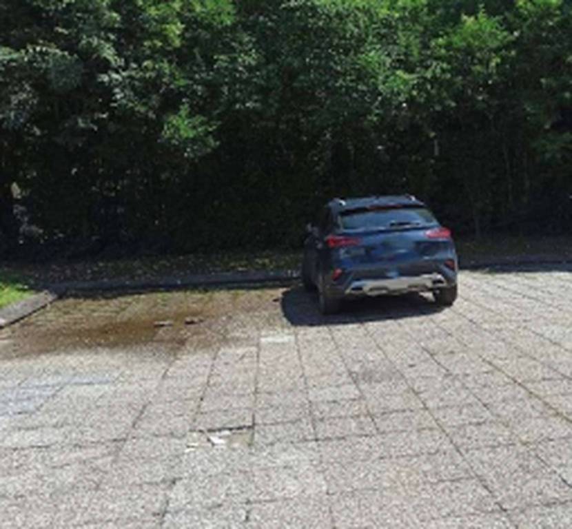 immagine annuncio 3 di 11