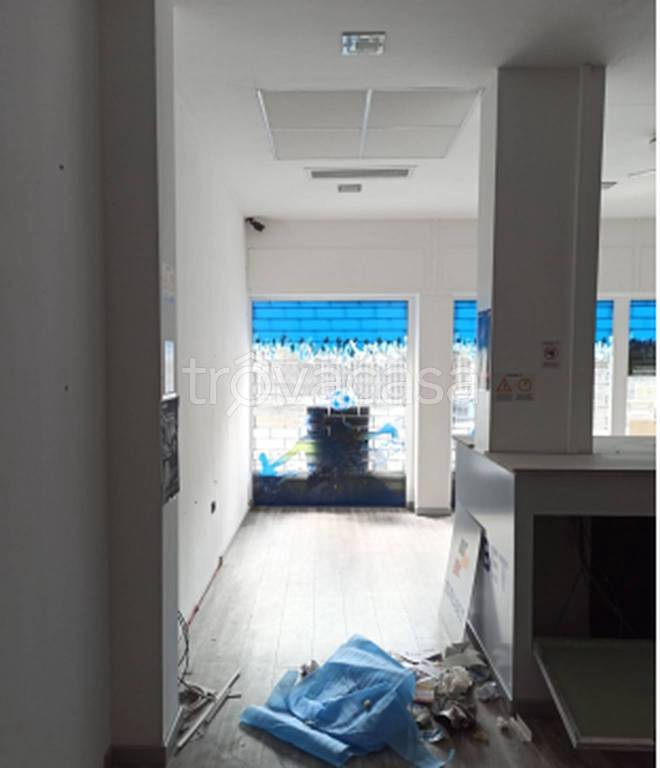 immagine annuncio 10 di 11