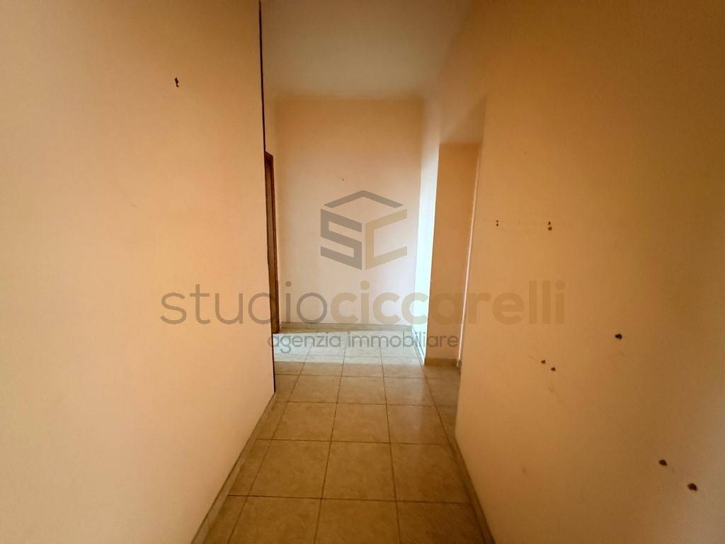 immagine annuncio 3 di 8