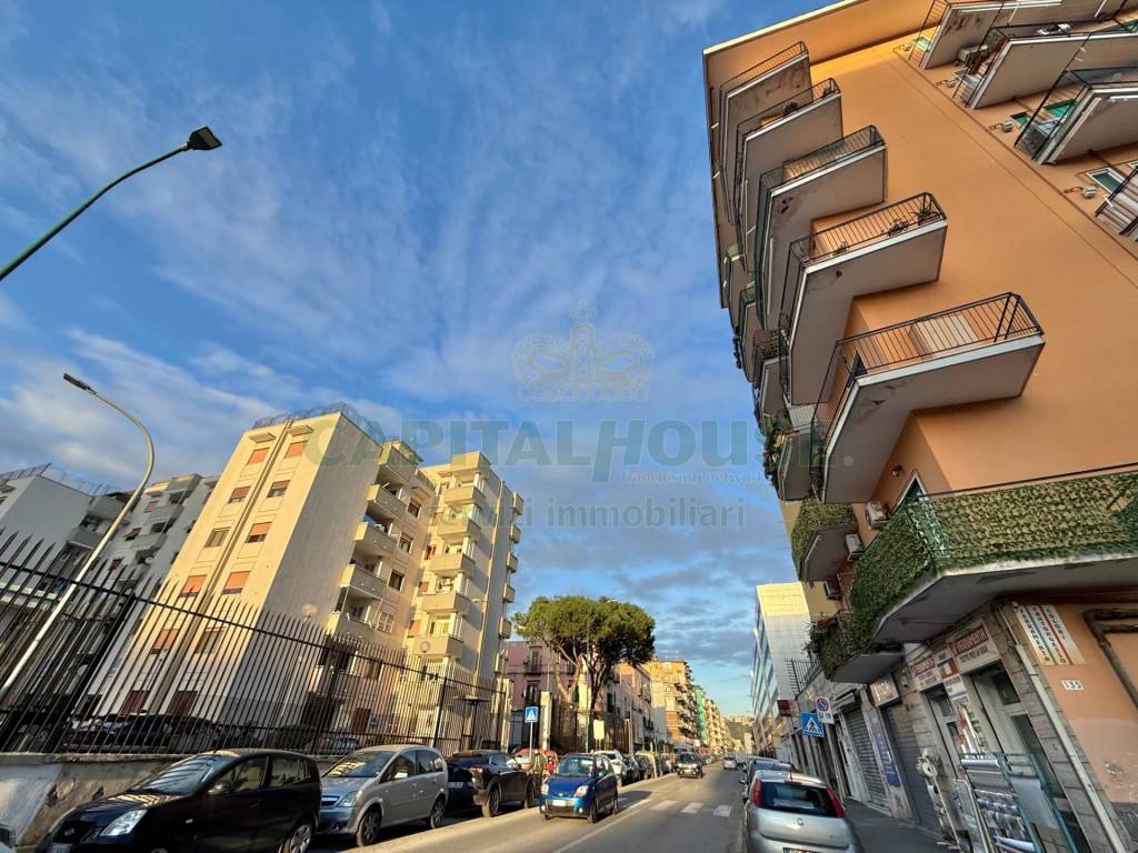 immagine annuncio 3 di 13