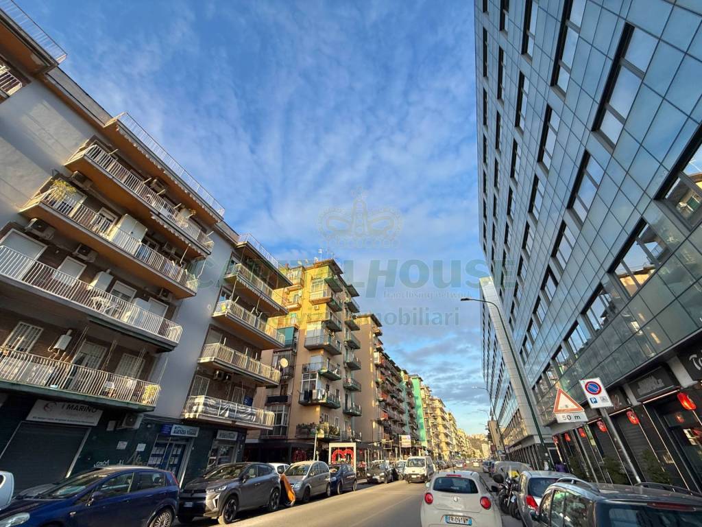 immagine annuncio 5 di 13