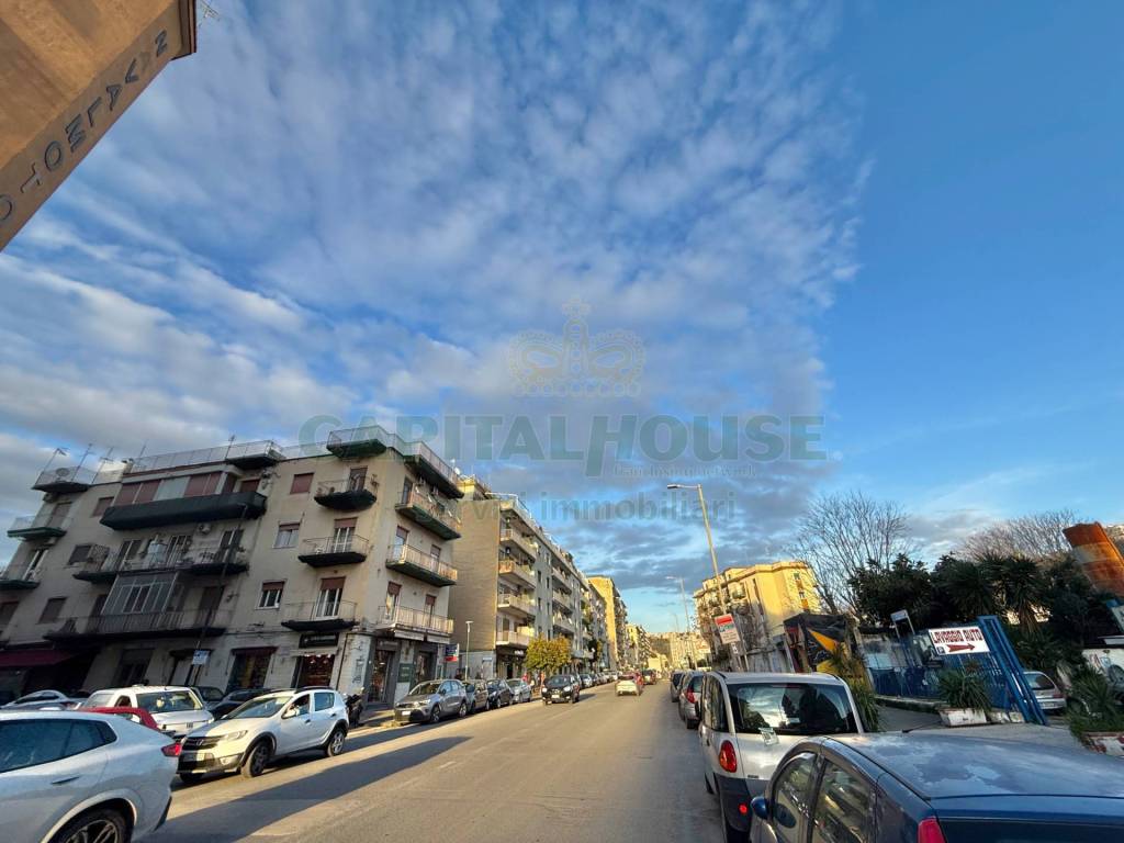 immagine annuncio 10 di 13