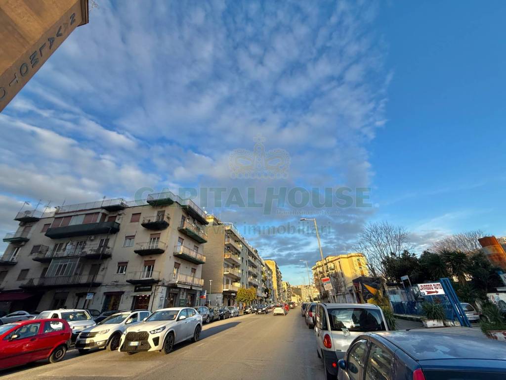 immagine annuncio 12 di 13