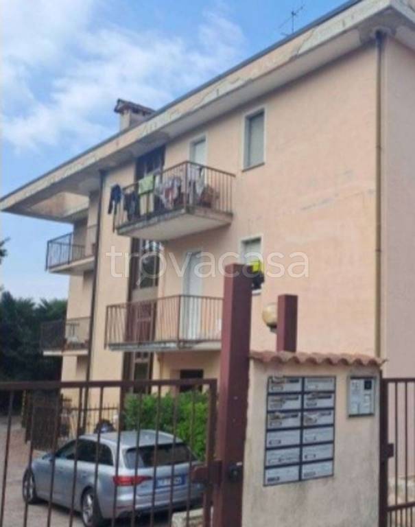 immagine annuncio 7 di 11