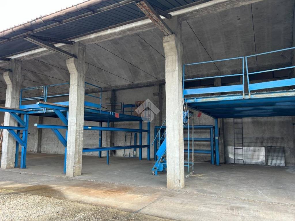 immagine annuncio 12 di 15