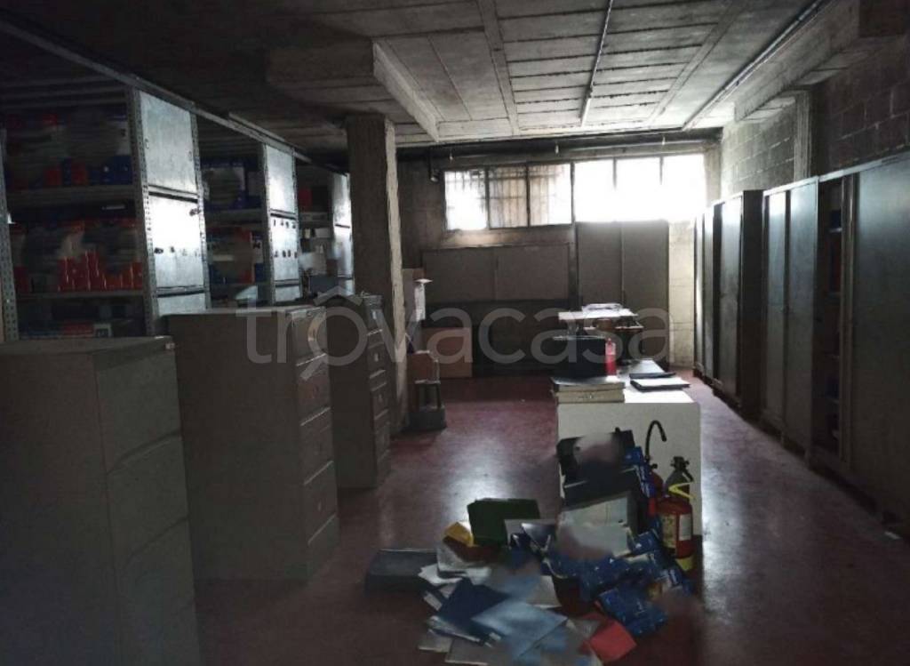 immagine annuncio 3 di 12