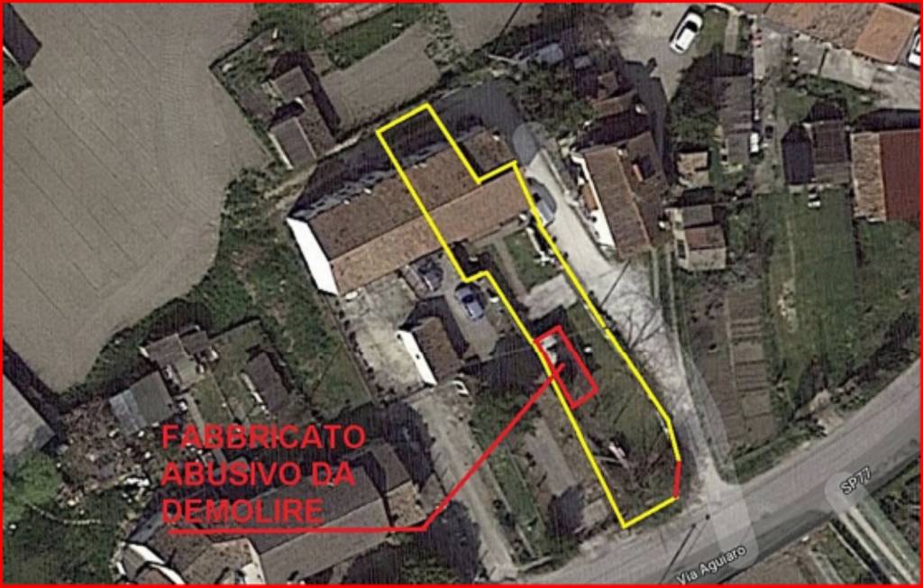 immagine annuncio 12 di 13