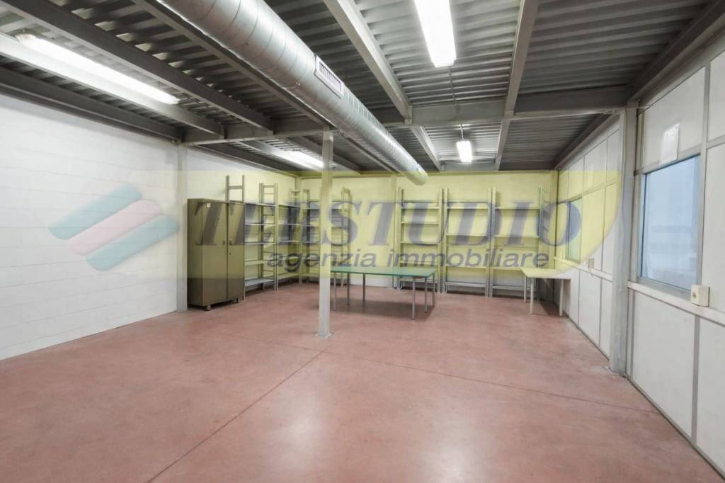 immagine annuncio 5 di 15