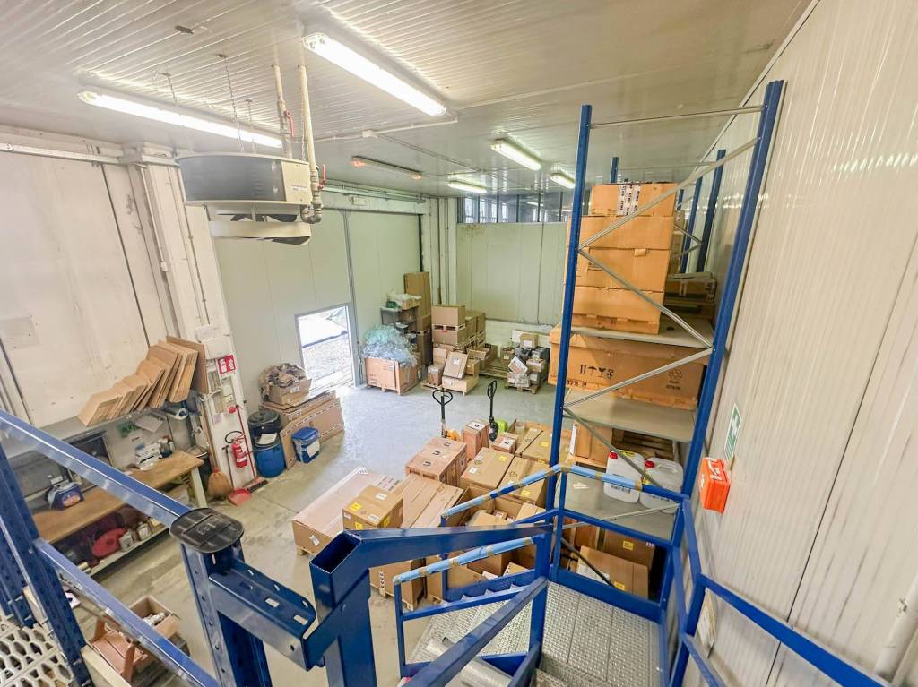 immagine annuncio 11 di 15