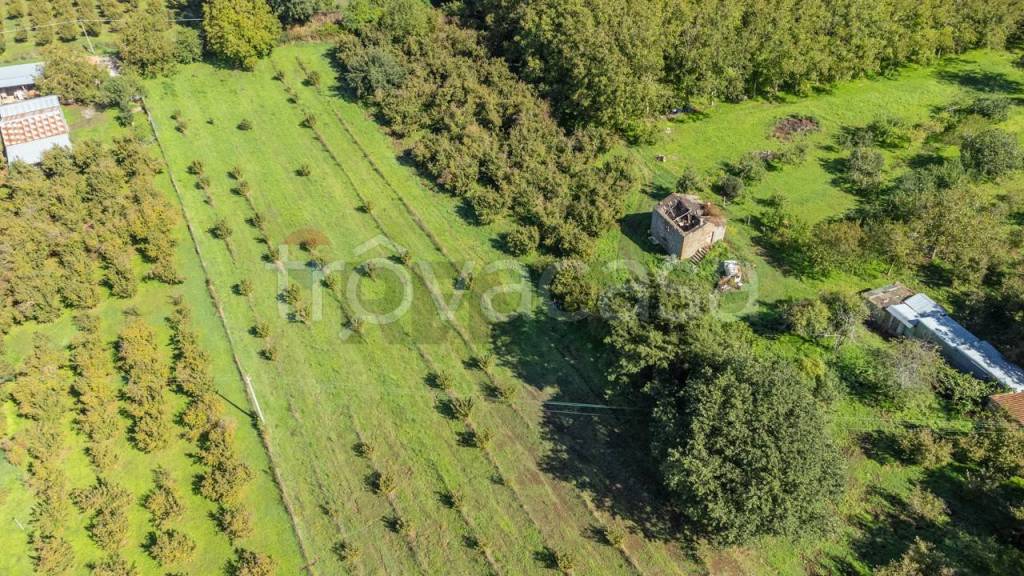 immagine annuncio 5 di 7