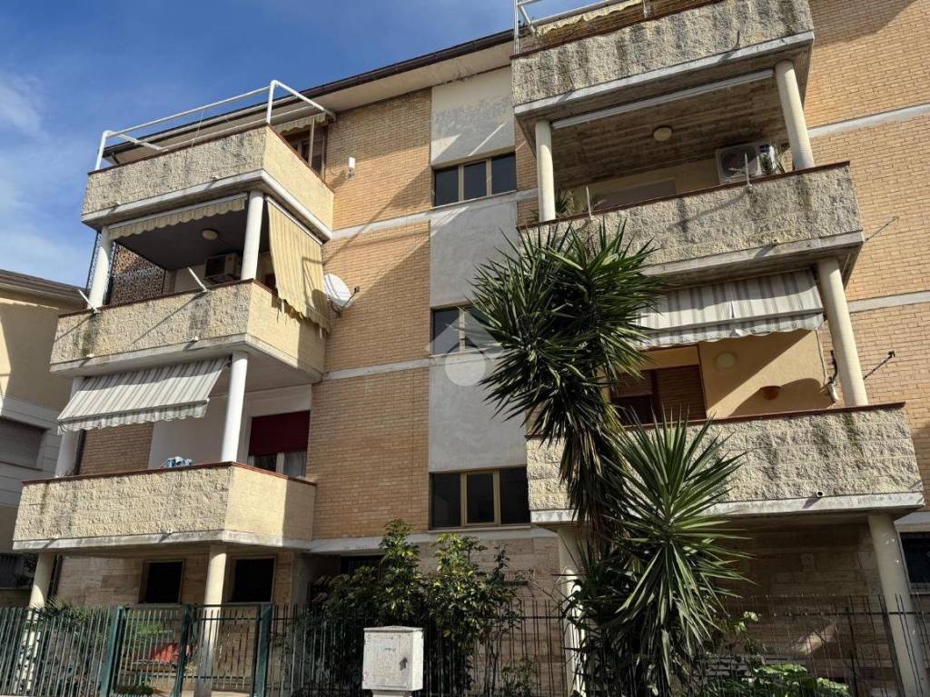 immagine annuncio 12 di 13