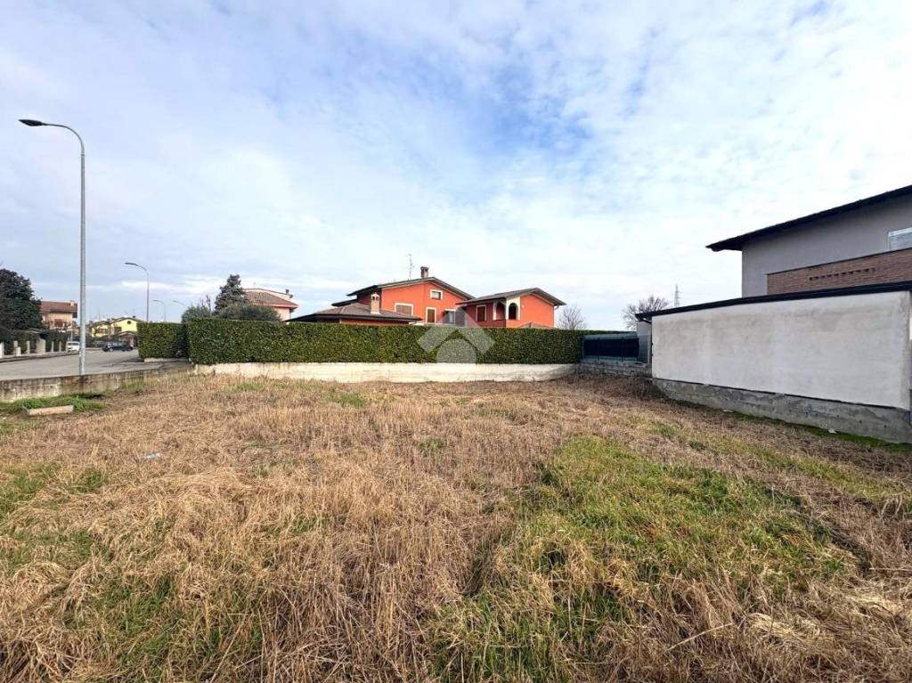 immagine annuncio 3 di 11