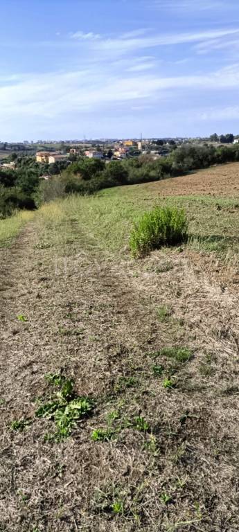 immagine annuncio 5 di 8