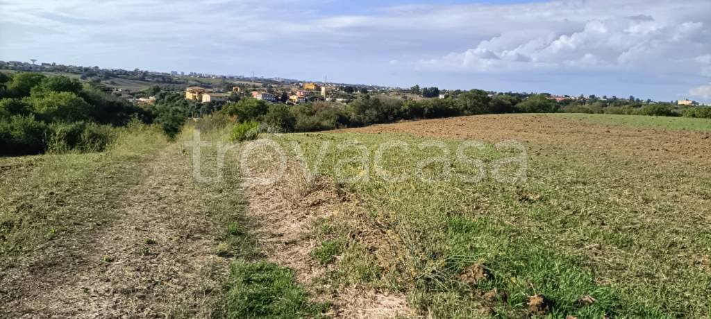 immagine annuncio 6 di 8