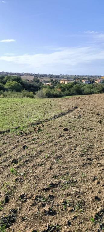 immagine annuncio 7 di 8