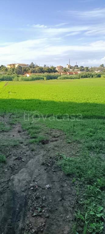 immagine annuncio 1 di 8