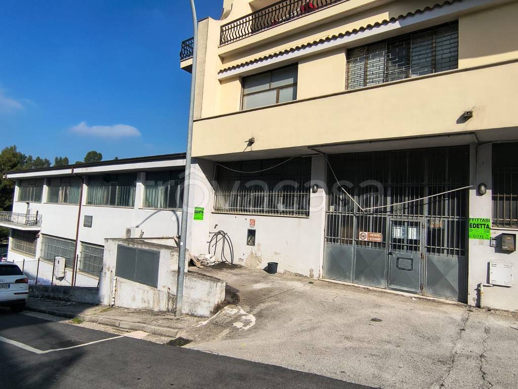 immagine annuncio 1 di 7