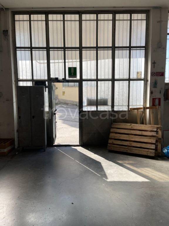 immagine annuncio 6 di 7