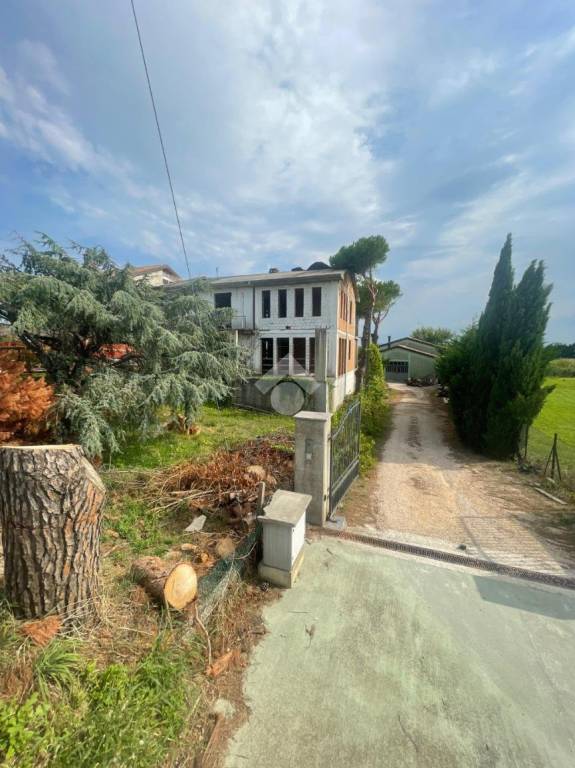 immagine annuncio 8 di 9