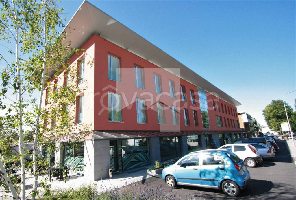 immagine annuncio 1 di 14