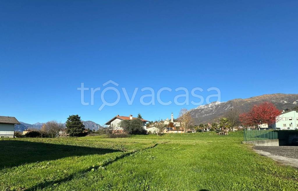 immagine annuncio 4 di 7