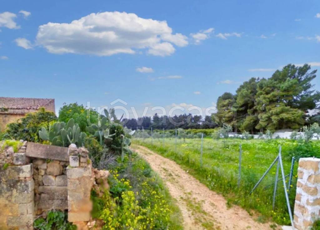 immagine annuncio 4 di 11