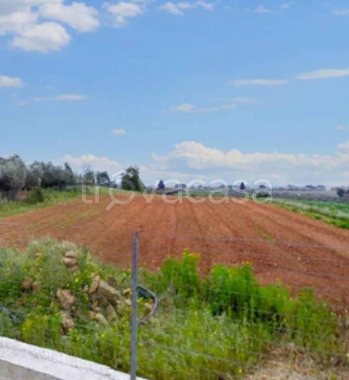 immagine annuncio 8 di 11