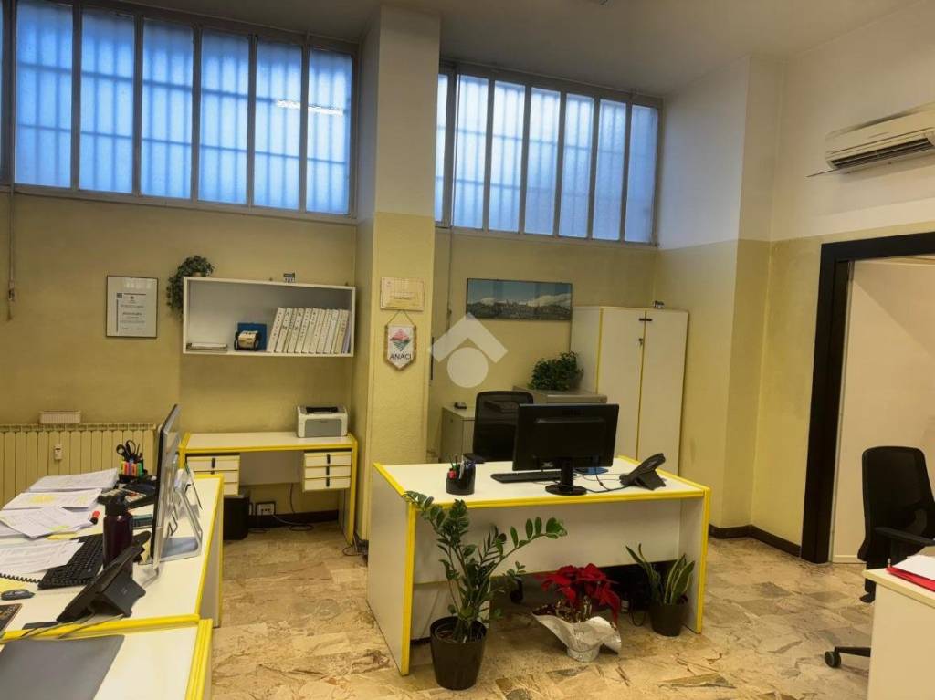 immagine annuncio 1 di 7