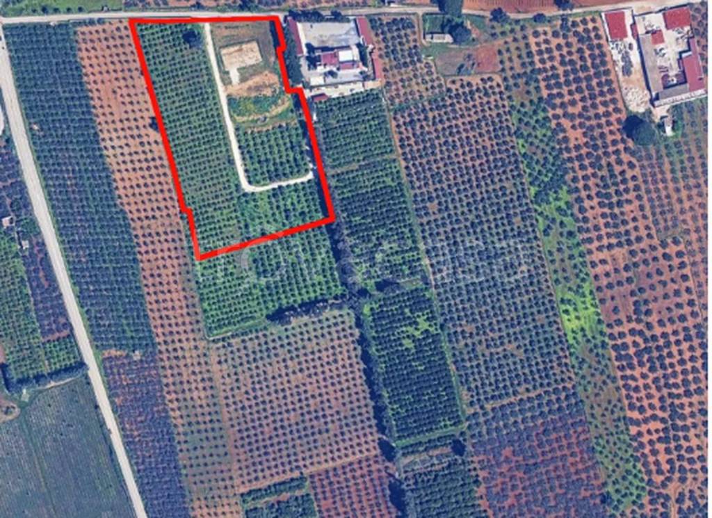 immagine annuncio 10 di 11