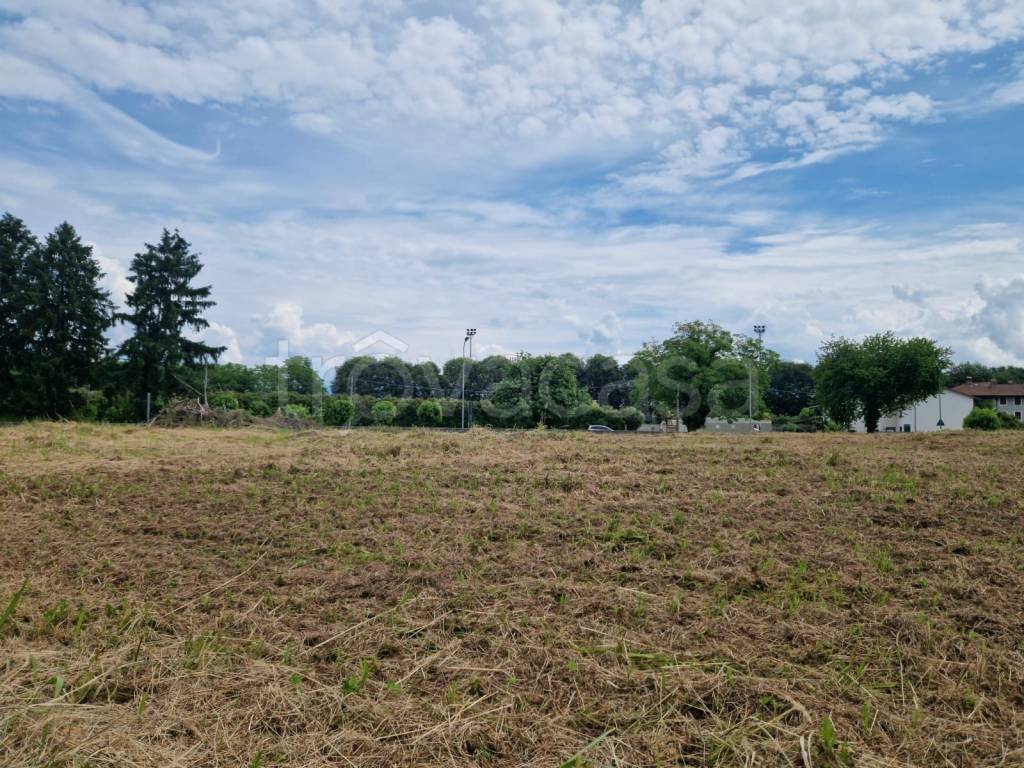 immagine annuncio 1 di 6