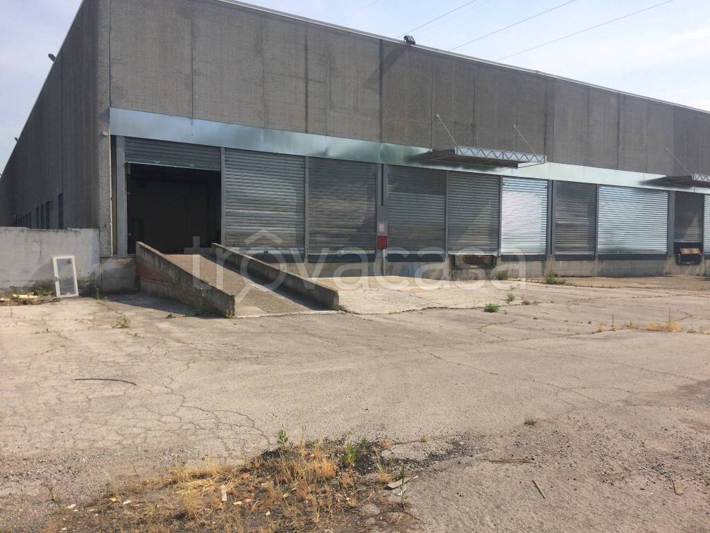 immagine annuncio 2 di 4